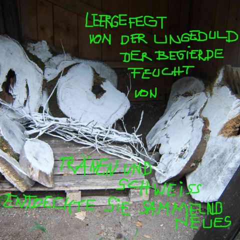 weisseflecken/Image_08.jpg