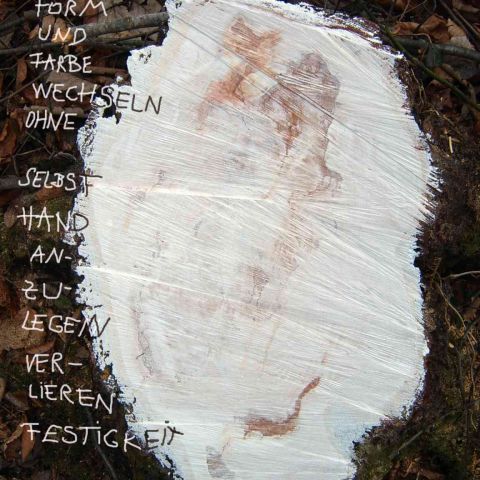 weisseflecken/Image_12.jpg